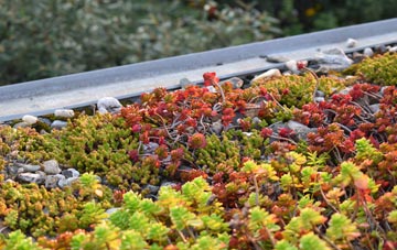 the cost of Chieveley green roof installation