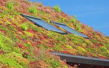 Chieveley living roof systems